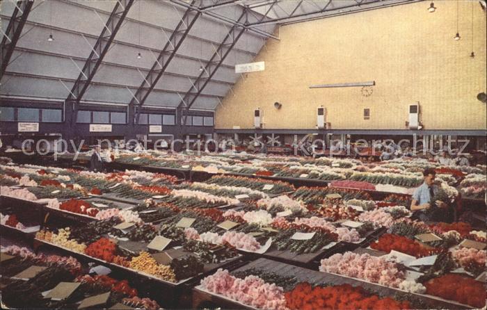 Blumen Centrale Aalsmeersche Veiling Aalsmeer