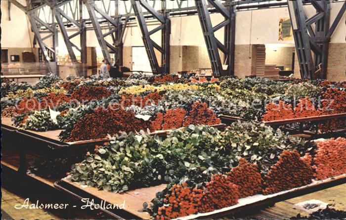 Blumen Aalsmeer Holland Blumenversteigerung