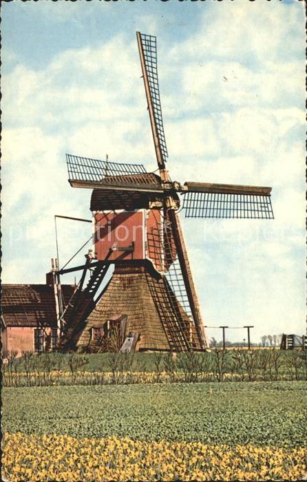 Windmuehle Holland