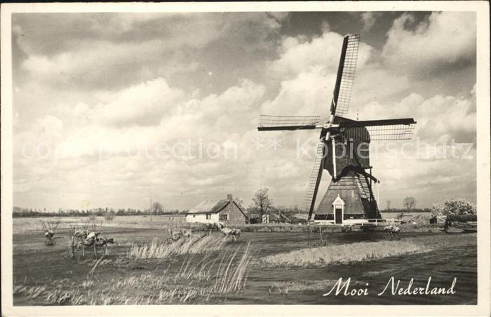 Windmuehle Niederlande