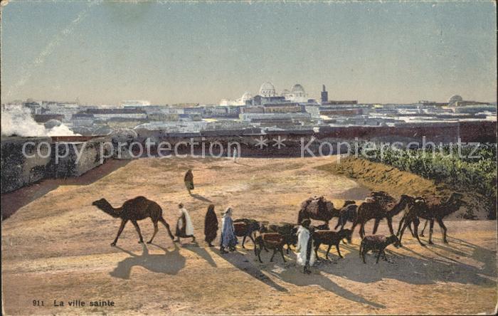 Kamel  Camel Chameau Ville Sainte