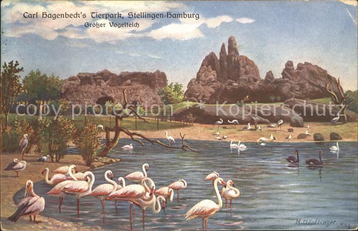 Hagenbeck Vogelteich Flamingos Kuenstlerkarte M. Hoepflinger