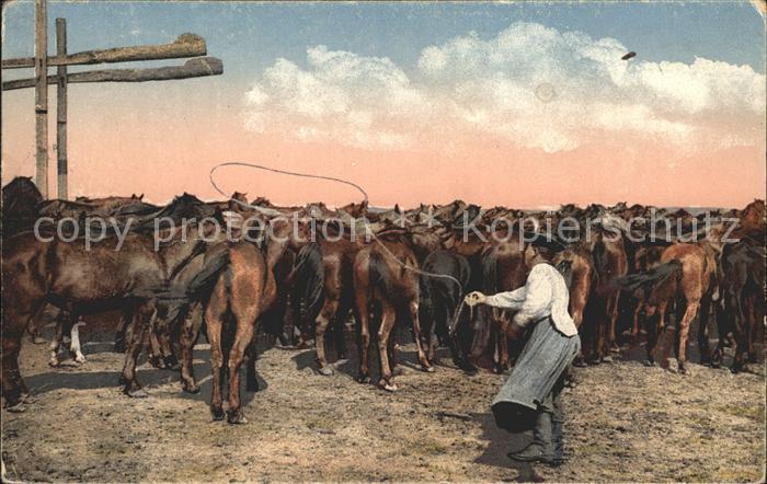 Pferde Haide Hortobagy Ungarn Pferdehirte Lasso werfend