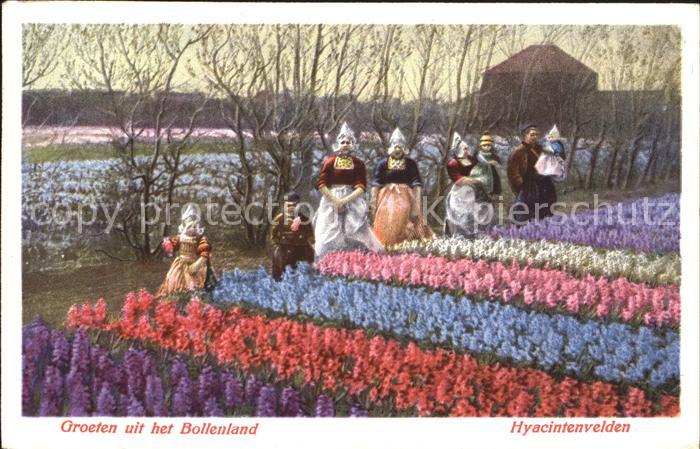 Blumen Hyacintenvelden Holland Trachten