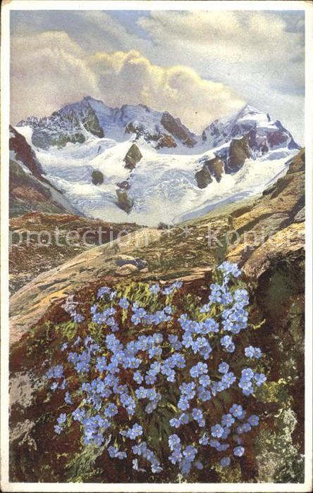 Blumen Himmelsherold Engadin Verlag-Photochrom