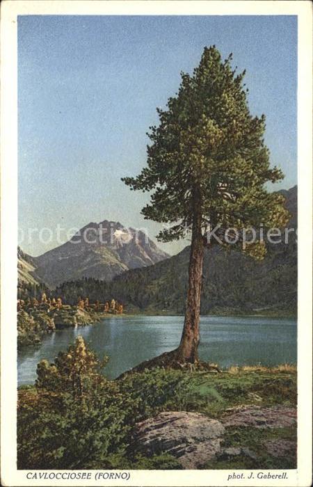Foto Gaberell J. Nr. 5035 Cavlocciosee Forno