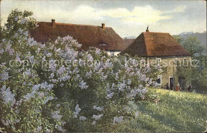 Verlag Photochromie Nr. 1583 Haus Neuchatel Blumen Natur
