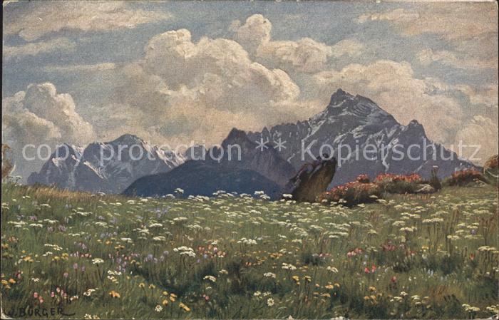 Kuenstlerkarte W. Buerger Bluehende Alpe Nr. 3789