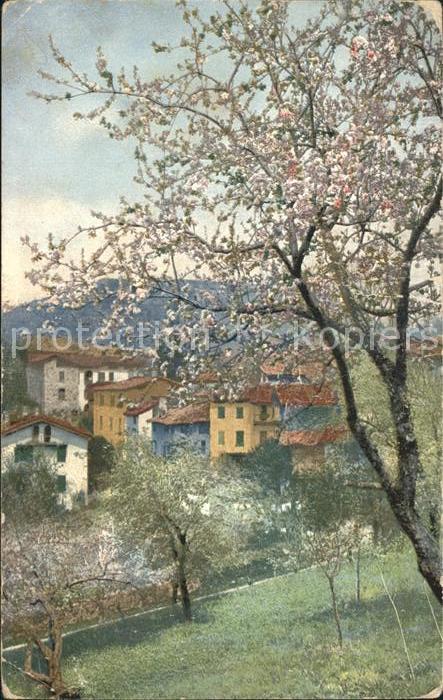 Verlag Photochromie Nr. 1610 Haeuser Baum Natur