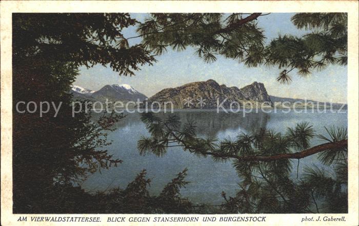 Foto Gaberell J. Nr. 6482 Vierwaldstättersee Stanserhorn Bür