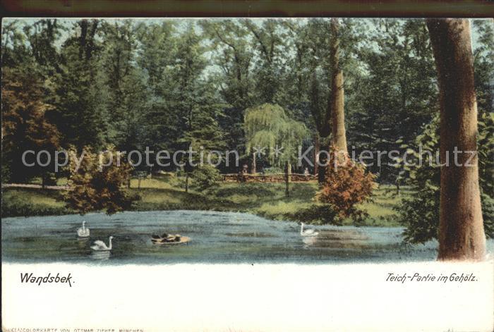 Wandsbek Teich Partie im Gehoelz