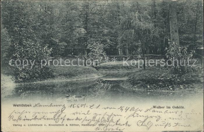 Wandsbek Weiher im Gehoelz