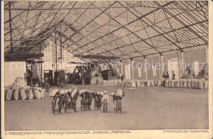 Kamerun Afrika Westafrikanische Pflanzungs- Gesellscha