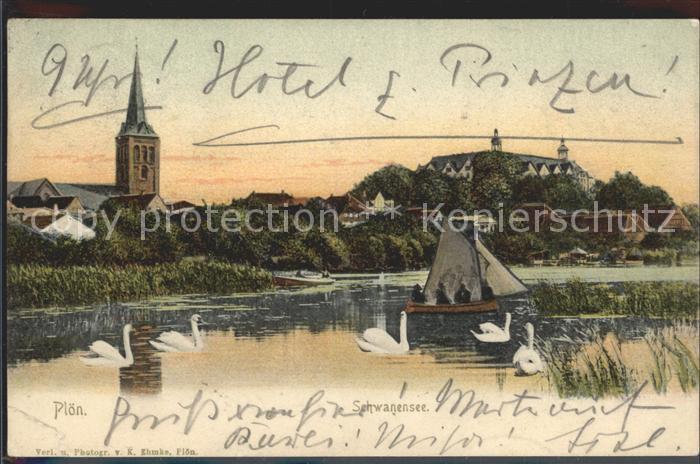 Ploen See Schwanensee