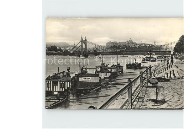 Budapest Donaupartie Elisabethbrücke
