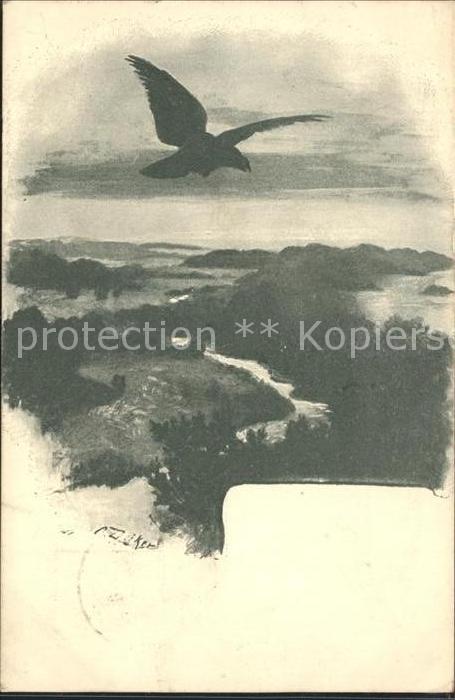 uelsbyholz Panorama Moewe