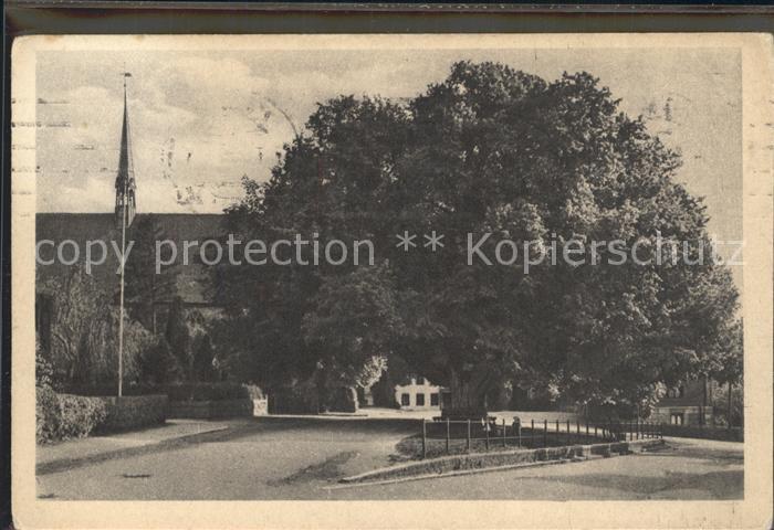 Bordesholm Linde und Kirche