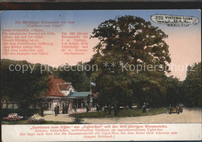 Uglei See Gasthaus zum Uglei 600-jaehrige Eiche