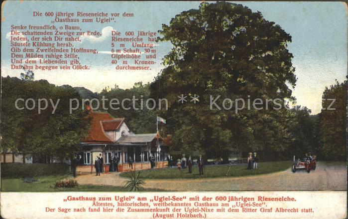 Uglei See Gasthaus zum Uglei 600-jaehrige Eiche