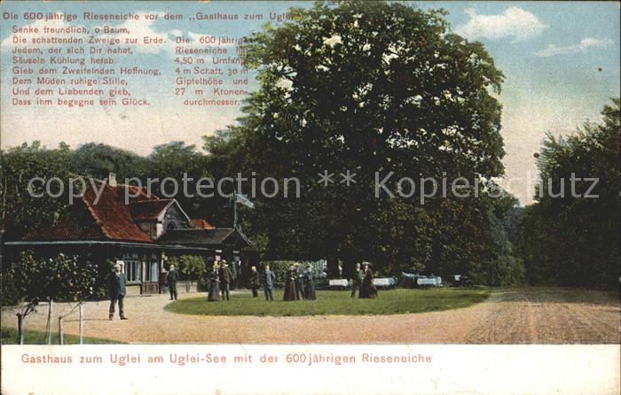 Uglei See Gasthaus zum Uglei 600-jaehrige Eiche
