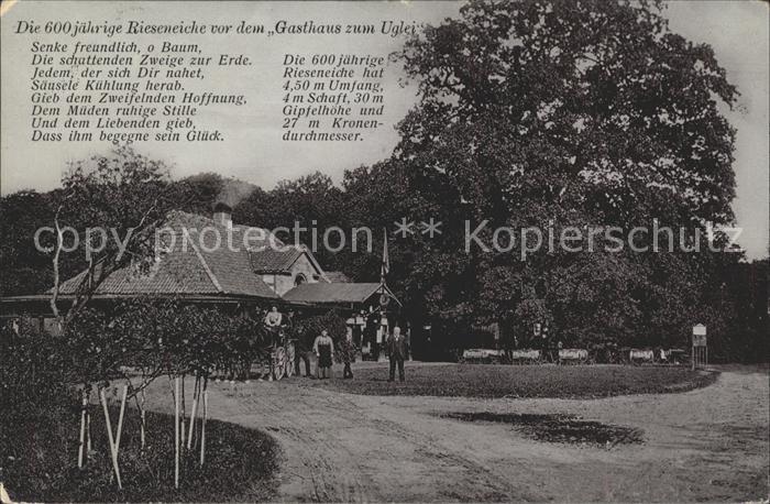 Uglei See Gasthaus zum Uglei 600-jaehrige Rieseneiche