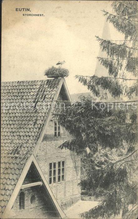 Eutin Schleswig-Holstein Storchennest