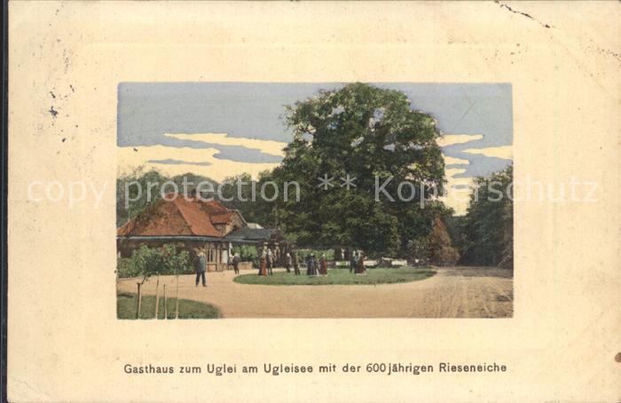 Uglei See Gasthaus zum Uglei 600-jaehrige Rieseneiche