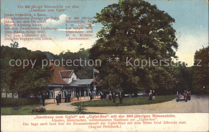 Uglei See Gasthaus zum Uglei 600-jaehrige Rieseneiche