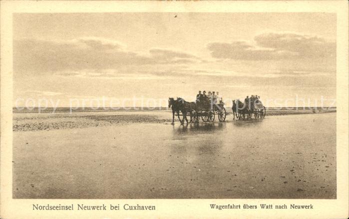 Insel Neuwerk Wagenfahrt Watt Neuwerk