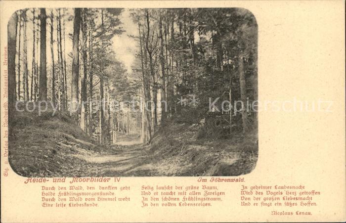 Oldenburg Niedersachsen Heide Moorbilder Joehrenwald