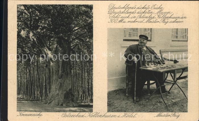 Kellenhusen Ostseebad Kroneneiche Meister Feig