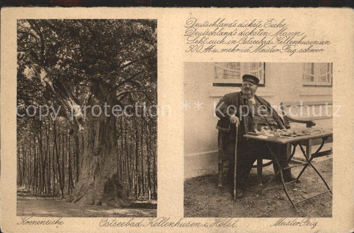 Kellenhusen Ostseebad Meister Feig Kroneneiche