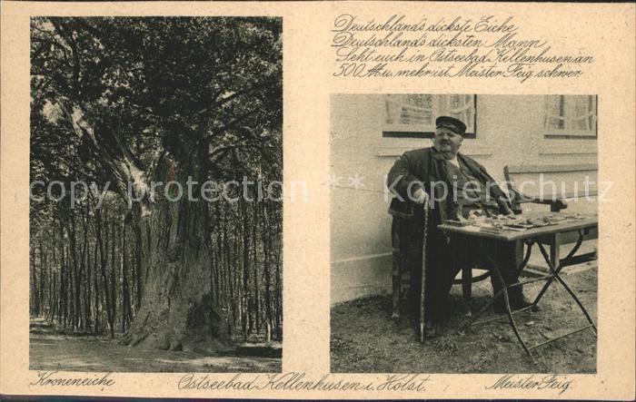 Kellenhusen Ostseebad Meister Feig Kroneneiche