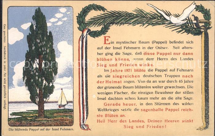 Fehmarn Bluehende Pappel Segelschiff