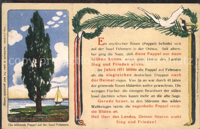 Fehmarn Bluehende Pappel Segelschiff