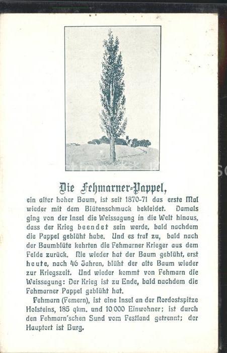 Fehmarn Bluehende Pappel
