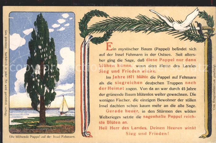 Fehmarn Bluehende Pappel Segelschiff