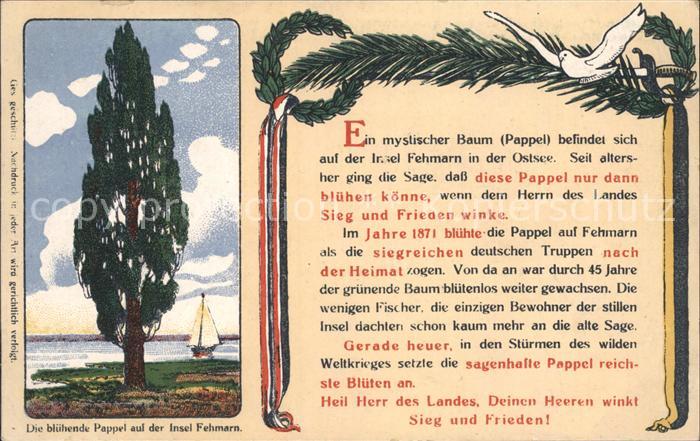 Fehmarn Bluehende Pappel Segelschiff