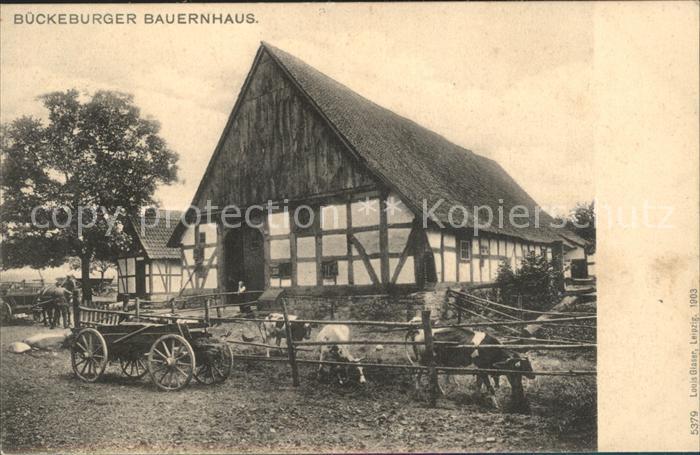 Bueckeburg Bauernhaus Koppel Wagen