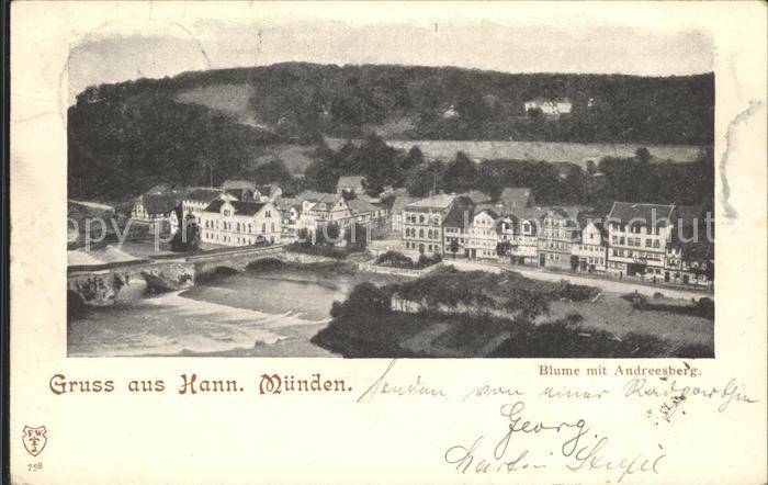 Muenden Andreesberg Blume