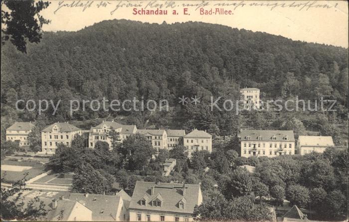 Bad Schandau Bad Allee