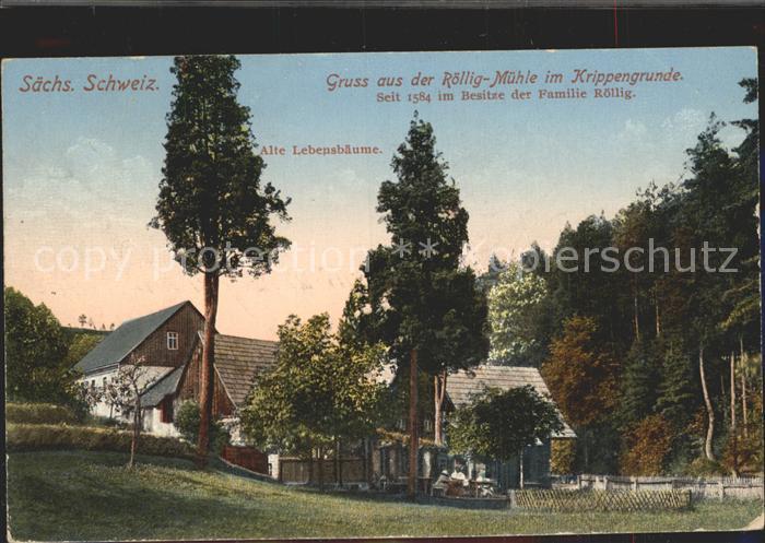 Krippen Bad Schandau Roellig Muehle Alte Lebensbaeume