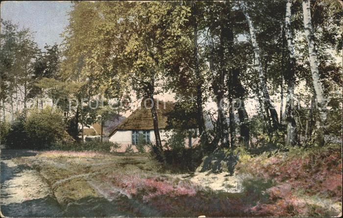 Worpswede Sommer Baeume Haus