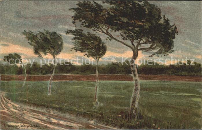 Worpswede Birken im Wind