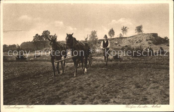 Pferde Landwirtschaft Lüneburger Heide
