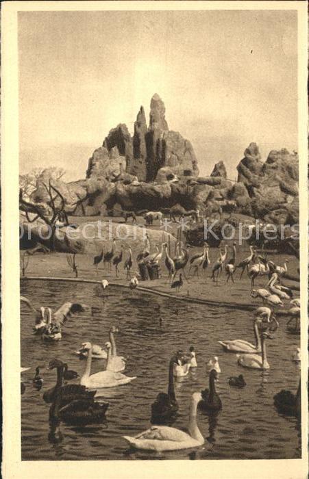 Hagenbeck Tierpark Stellingen-Hamburg Vogelteich Felspartie