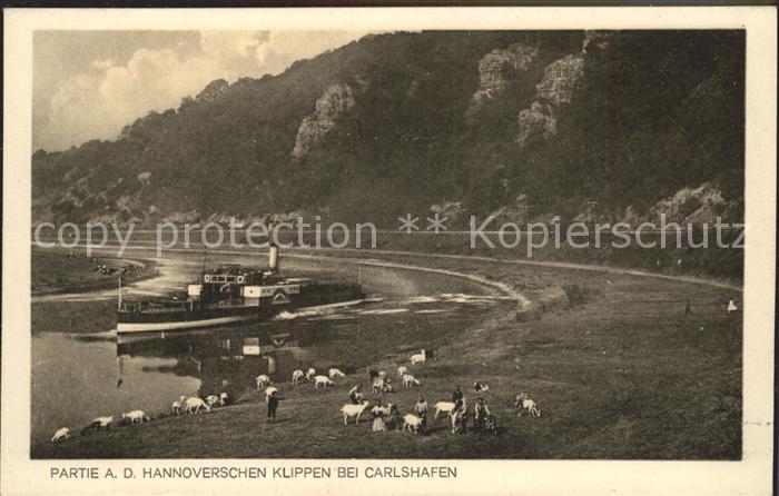 Dampfer Seitenrad Hannoversche Klippen Bad Karlshafen Ziegen