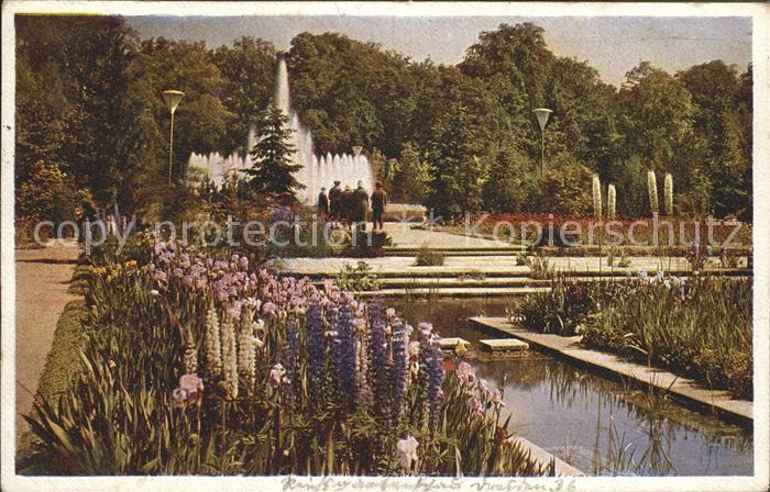 Gartenschau Reichsgartenschau Dresden Irisgarten Leuchtfontaene