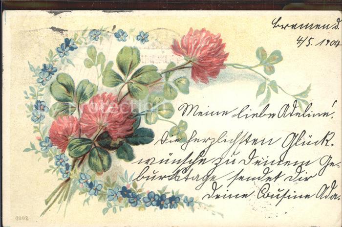 Kleeblatt Cloverleaf Trebol Trefle Kleeblume Vergissmeinnicht Litho