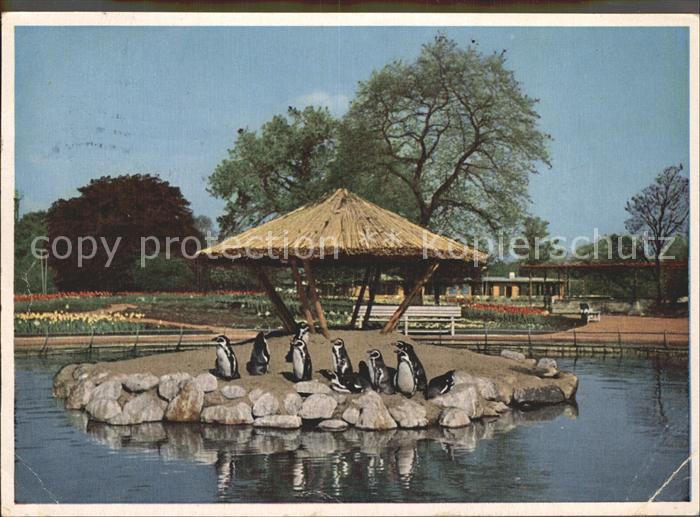 Ausstellung Planten un Bloemen Hamburg Pinguinenteich